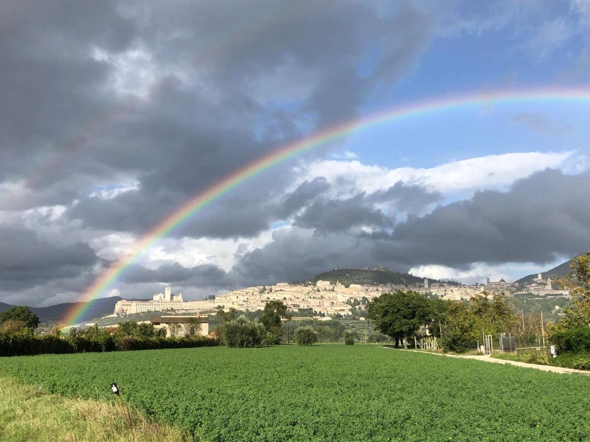 La Casa Dell'Artista Apartman Assisi Kültér fotó