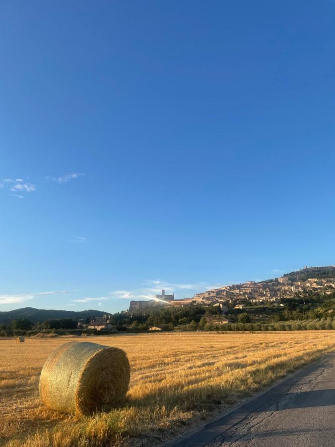 La Casa Dell'Artista Apartman Assisi Kültér fotó